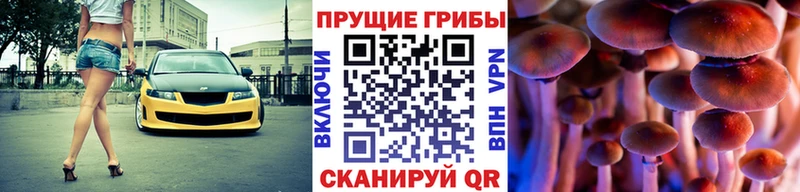 Псилоцибиновые грибы Cubensis  цена   Бор 