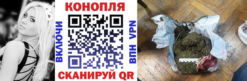Конопля сатива  сколько стоит  Бор 